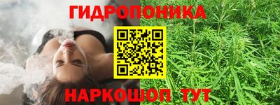 крисы Комсомольск-на-Амуре