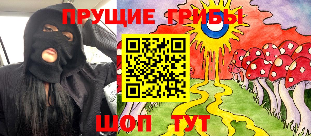 Краснознаменск  Галлюциногенные грибы Psilocybe  Галлюциногенные грибы MAGIC MUSHROOMS  Вход с VPN 